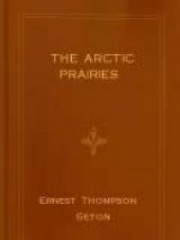 The Arctic Prairies