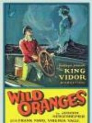 Wild Oranges