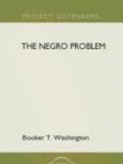 The Negro Problem