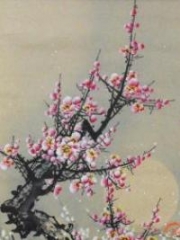 Under The Plum Blossom