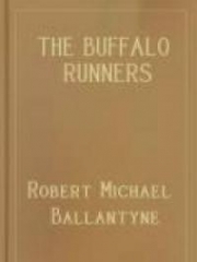 The Buffalo Runners