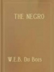 The Negro