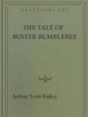 The Tale of Buster Bumblebee