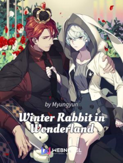 Winter Rabbit In Wonderland