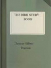 The Bird Study Book