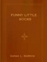 Funny Little Socks