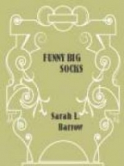 Funny Big Socks