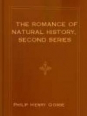 The Romance of Natural History