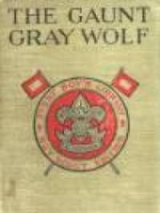 The Gaunt Gray Wolf