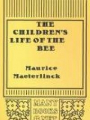 The Children's Life of the Bee