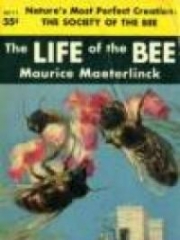 The Life of the Bee