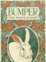 Bumper, The White Rabbit