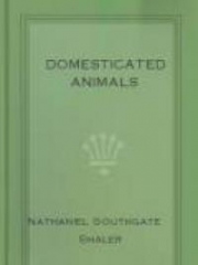 Domesticated Animals