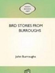 Bird Stories from Burroughs