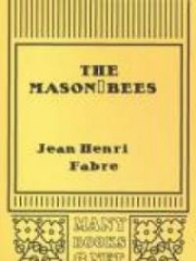 The Mason-Bees