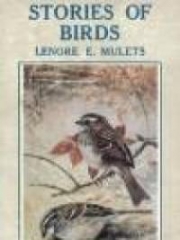 Stories of Birds