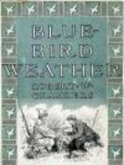 Blue-Bird Weather