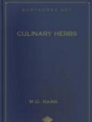 Culinary Herbs: Their Cultivation Harvesting Curing and Uses