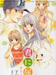 Kimi ni Todoke – Ashita ni Nareba